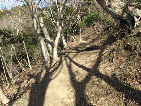 20160108hike (67)